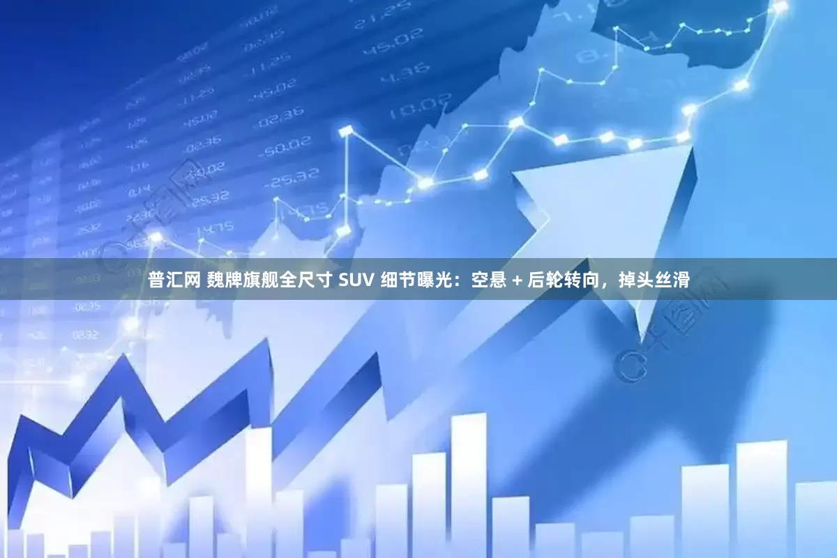 普汇网 魏牌旗舰全尺寸 SUV 细节曝光：空悬 + 后轮转向，掉头丝滑