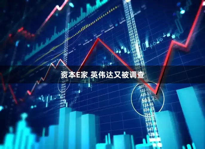资本E家 英伟达又被调查