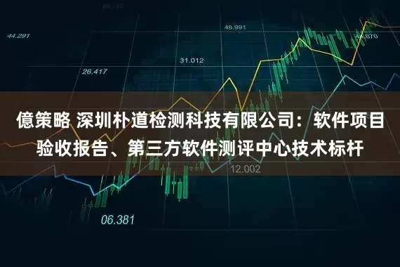 億策略 深圳朴道检测科技有限公司：软件项目验收报告、第三方软件测评中心技术标杆