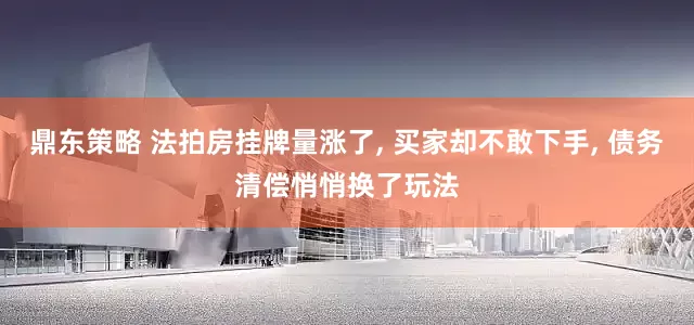 鼎东策略 法拍房挂牌量涨了, 买家却不敢下手, 债务清偿悄悄换了玩法